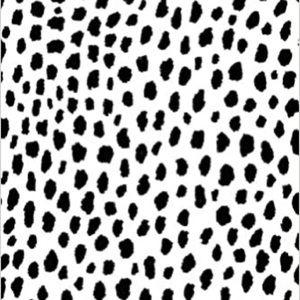 Meet your Posher, Gracie